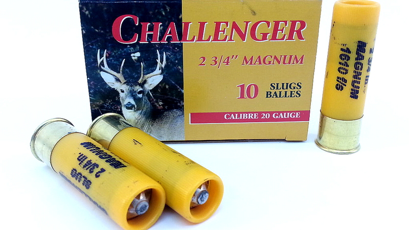 Challenger Ammo 00300 Slugs 20 GA, 2-3/4 in, 7/8 oz, 1610 fps, 10 Rnd ...