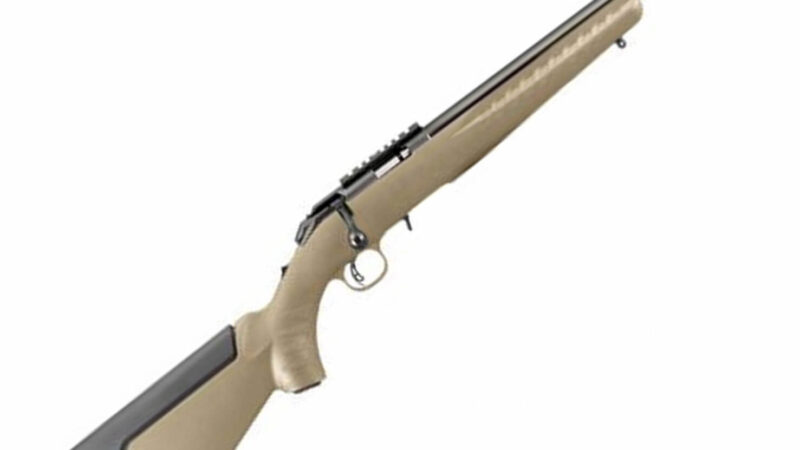 RUGER 8358 AMERICAN RIMFIRE RIFLE 22 LR, 16.1″ THREADED BBL, FDE RANCH ...