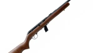 Savage Arms Savage 64G .22LR – Semi Auto – 20.5″ – 10Rd